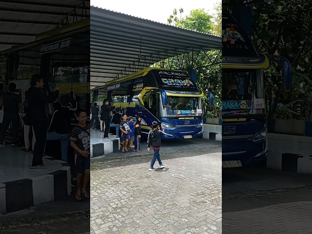 Telolet Basuri Draka🐍dan Bus Tronton Rimba Raya🔥🔥#busmania #basuri #telolet class=