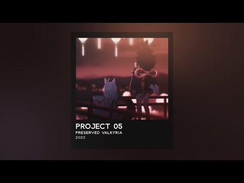 PROJECT 05 / preserved valkyria