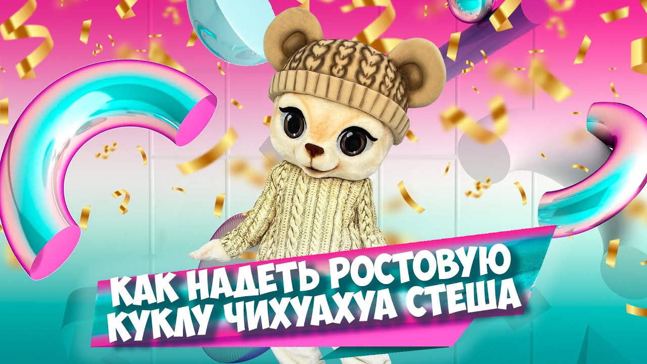 Как надеть ростовую куклу Чихуахуа Стеша - YouTube