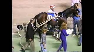1996 Scioto Downs DARING LIE Jeff Fout OHSS 2YO C&G Pace
