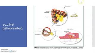 15.2 deel 1: Het gehoorzintuig