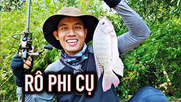 RÔ PHI KHỦNG NƯỚNG MUỐI TÔM | HỒ DẦU TIẾNG CHÈO XUỒNG HƠI, CÂU CÁ, NẤU NƯỚNG | MUỐI TÔM BỤI