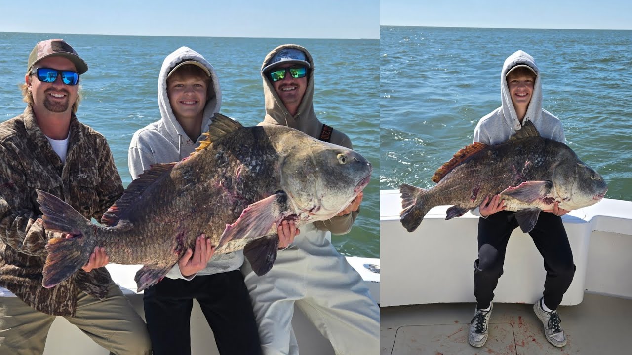 Boat Record Monster 70 Pound 50 Inch Black Drum Catch In The Port Royal Sound🎣🦈