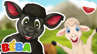 Bee Bee Owca Piosenki Dla Dzieci Béba