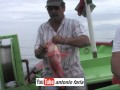 Pesca Artesanal, Calheta São Jorge 2015