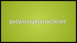 Polymorphonucleate Meaning