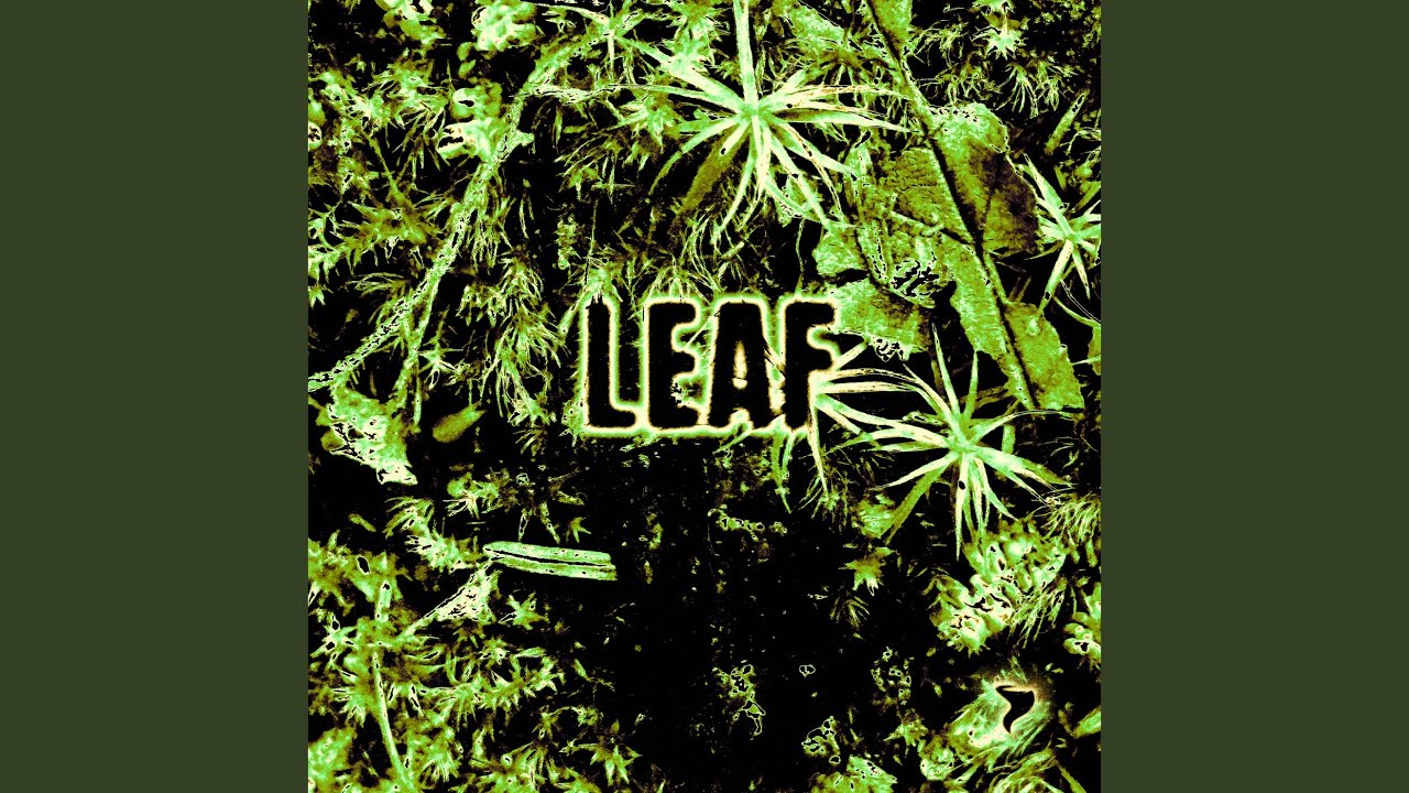 Regardez Leaf sur YouTube Regardez Leaf sur YouTube