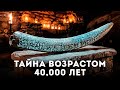 Археологи нашли резьбы, которые оказались системой данных