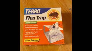 Nontoxic Terro FLEA TRAPS