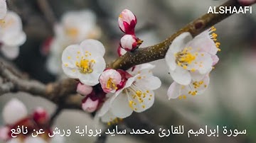 محمد سايد - سورة إبراهيم |014| MOHAMED SAYED - SURAT IBRAHIM