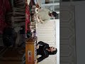      شهريار صديقی حال دلم كجا روم