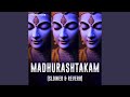 Adharam Madhuram Lofi - Madhurashtakam