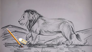 How to Draw a Lion (Narrated, Step by Step)