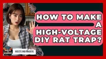 How To Make A High-voltage DIY Rat Trap? - Insects and Invaders