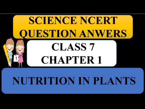 NUTRITION IN PLANTS : QUESTION ANSWER Class 7 Science: Chapter 1 NCERT ...