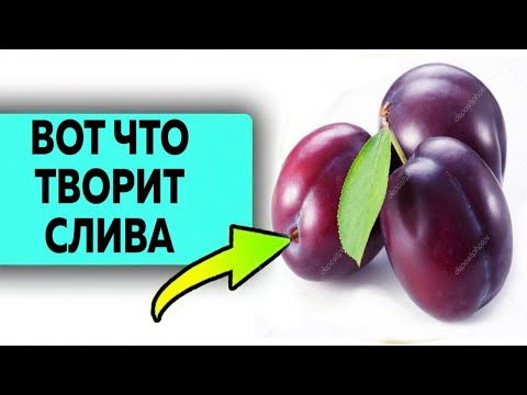 Об этом молчат врачи! Польза сливы для организма