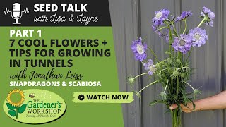 Seed Talk #53 - 7 Cool Flowers Plus Tips for Growing in Tunnels, Part 1 - Snapdragons & Scabiosa screenshot 5