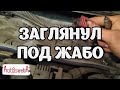 Причина запаха гнили в салоне.