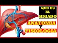 Cuáles son los síntomas de la insuficiencia renal? de que el riñón no funciona bien?