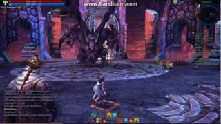 Tera boss fight.avi