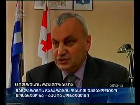 ციტრუსის რეალიზაცია