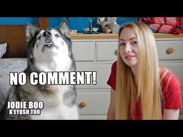 Answering Assumptions About My Husky And Me!