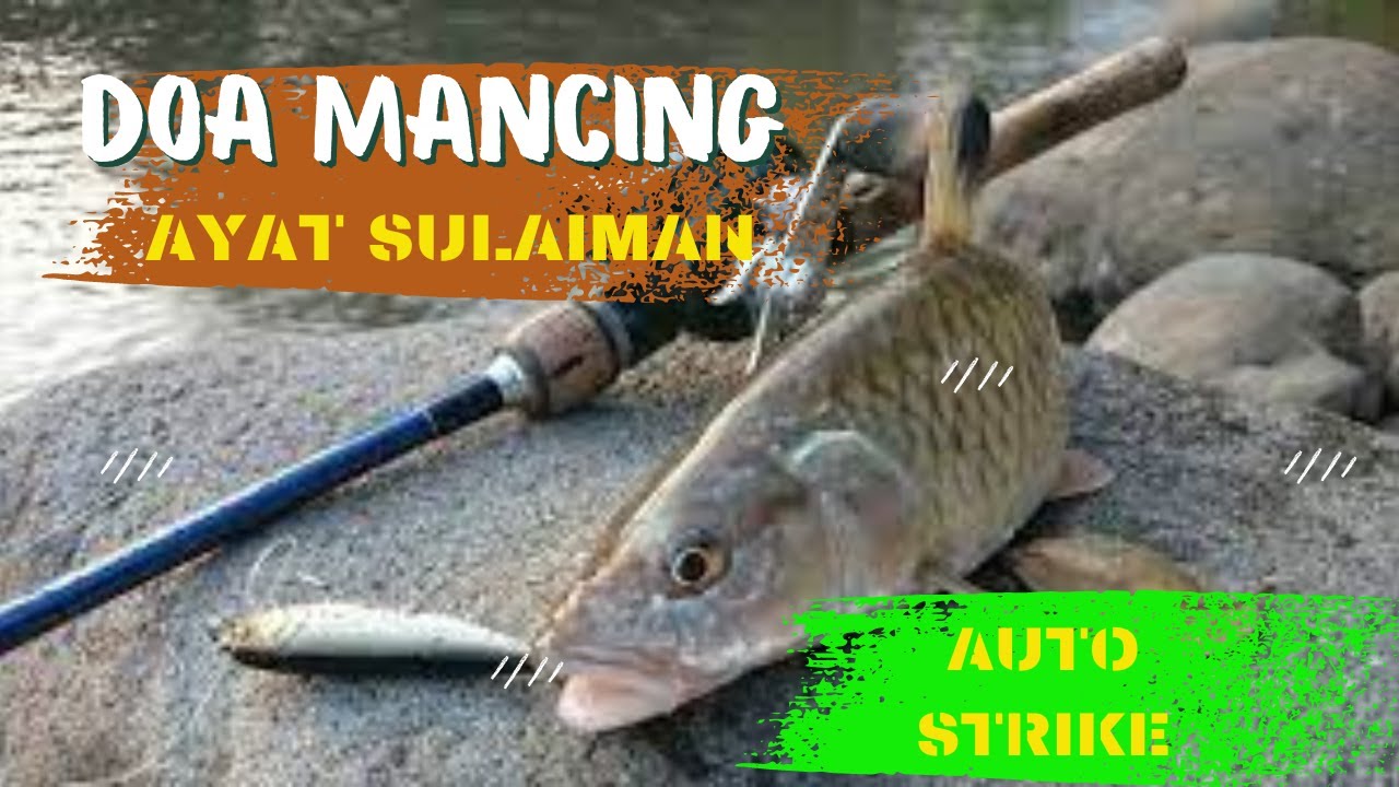 DOA MANCING AYAT SULAIMAN INNAHU MIN SULAIMAN Mudahnya Dapat Ikan doa-memancing-ikan-nabi-sulaiman-agar-dapat-ikan-banyak-youtube