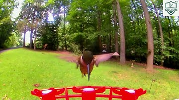 Soliom BF10 Hummingbird Feeder Camera
