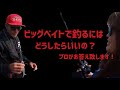 ビッグベイトで釣るにはどうしたらいいの？質問にお答えします！