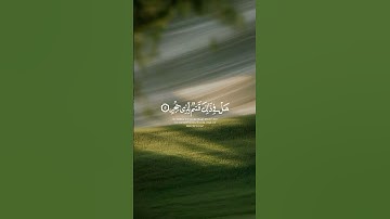 أول 8 آيات من سورة الفجر بصوت ناصر القطامي | #سورة_الفجر #ناصر_القطامي #تلاوة