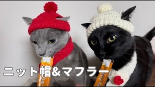 【ネコの帽子】ニット帽とマフラー編みました