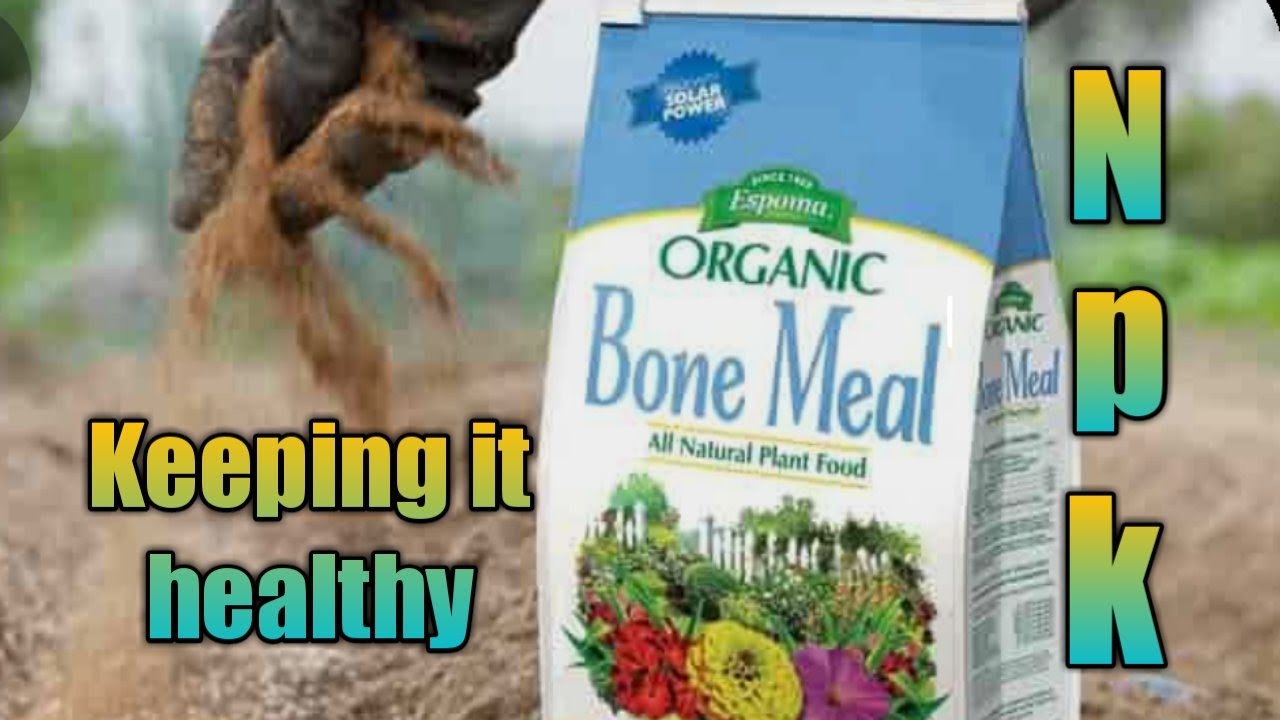 Fertilizer Basics For Vegetable Gardeners - YouTube