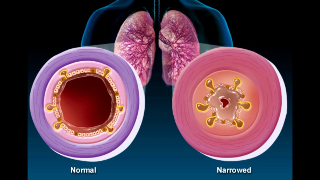 Oshxonada jinsiy aloqa Kama Sutra Qozoq Sankt-Peterburgdagi porno suratlar