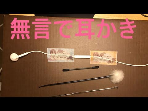 [ASMR]無言で耳かき♫綿棒やステンレス耳かきも♫