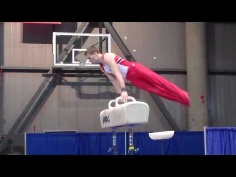 Christopher Mooney - Pommel Horse - 2010 Winter Cu...