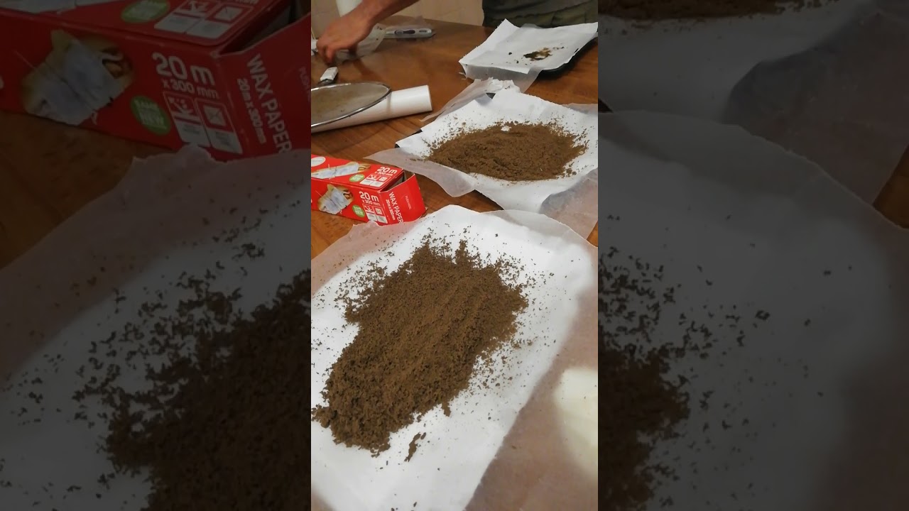 Sieved and drying ice water bubble hash dry out made from Swazigold