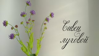 DIY / СИВЕЦ ИЗ БИСЕРА / Мастер-класс / Цветы из бисера /beaded flowers/ Бисероплетение