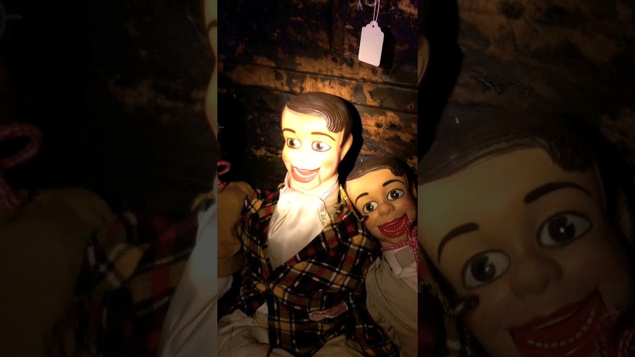 He Bit Me! So I Slapped Him...#haunteddoll #hauntedhouse #scary