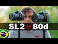 Canon SL2 ou Canon 80d - Qual e melhor pra voce? (Portugues)