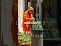 Eco's Urban Oasis Quest