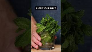 Sad Mint? Do This