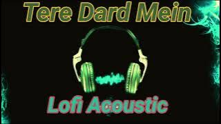 Tere Dard Mein Lofi Acoustic - Altamash Faridi