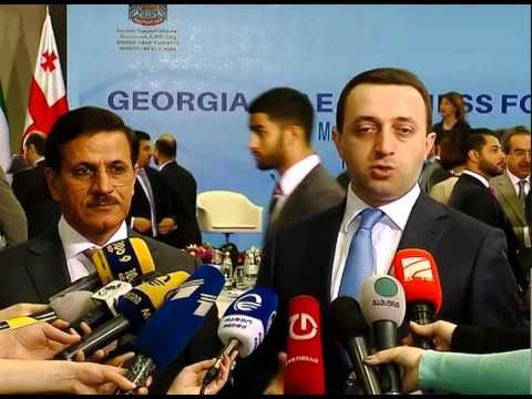 შეხვედრა არაბთა გაერთიანებული საემიროების ეკონომიკის მინისტრთან