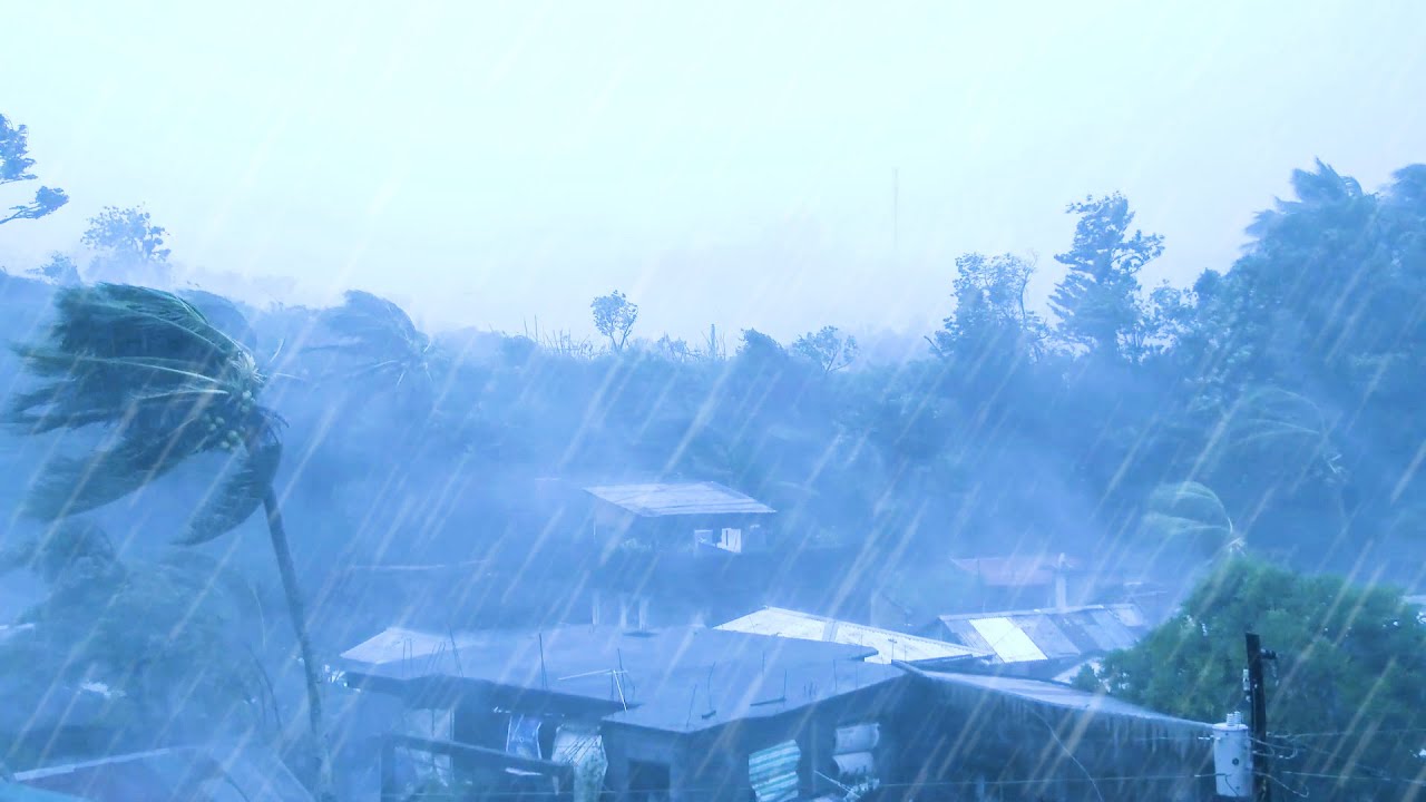 Falling Asleep Instantly with Powerful Hurricane | Torrential Rain ...