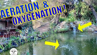 What You Should Know About Pond Aeration & Oxygenation! (DIY Natural Swimming Pond Vid #8)