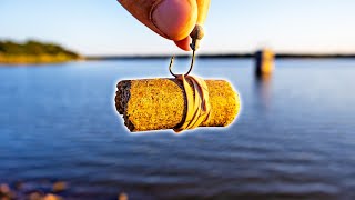 I Found the BEST FISHING BAIT Ever!...and No One Uses It?