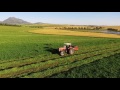 Farm in Malmesbury Western Cape South Africa.