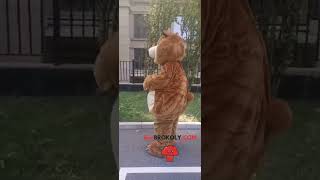 Brown Bear Mascot Costume Wild Animal Cosplay Party Advertising Costume