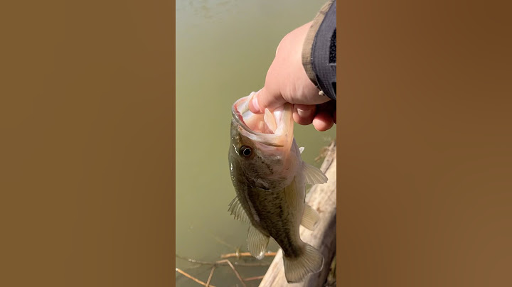I told her I’d like to fish… #airball￼ funny #fishing