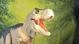 LIVE TOY ADVENTURES Q&A